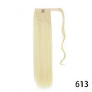 Aplique Rabo de Cavalo Mega Hair Liso Premium Peruca