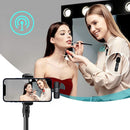 Microfone Lapela  Profissional Sem Fio Speaker Max