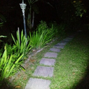 Lanterna De Testa Cabeça Pontente